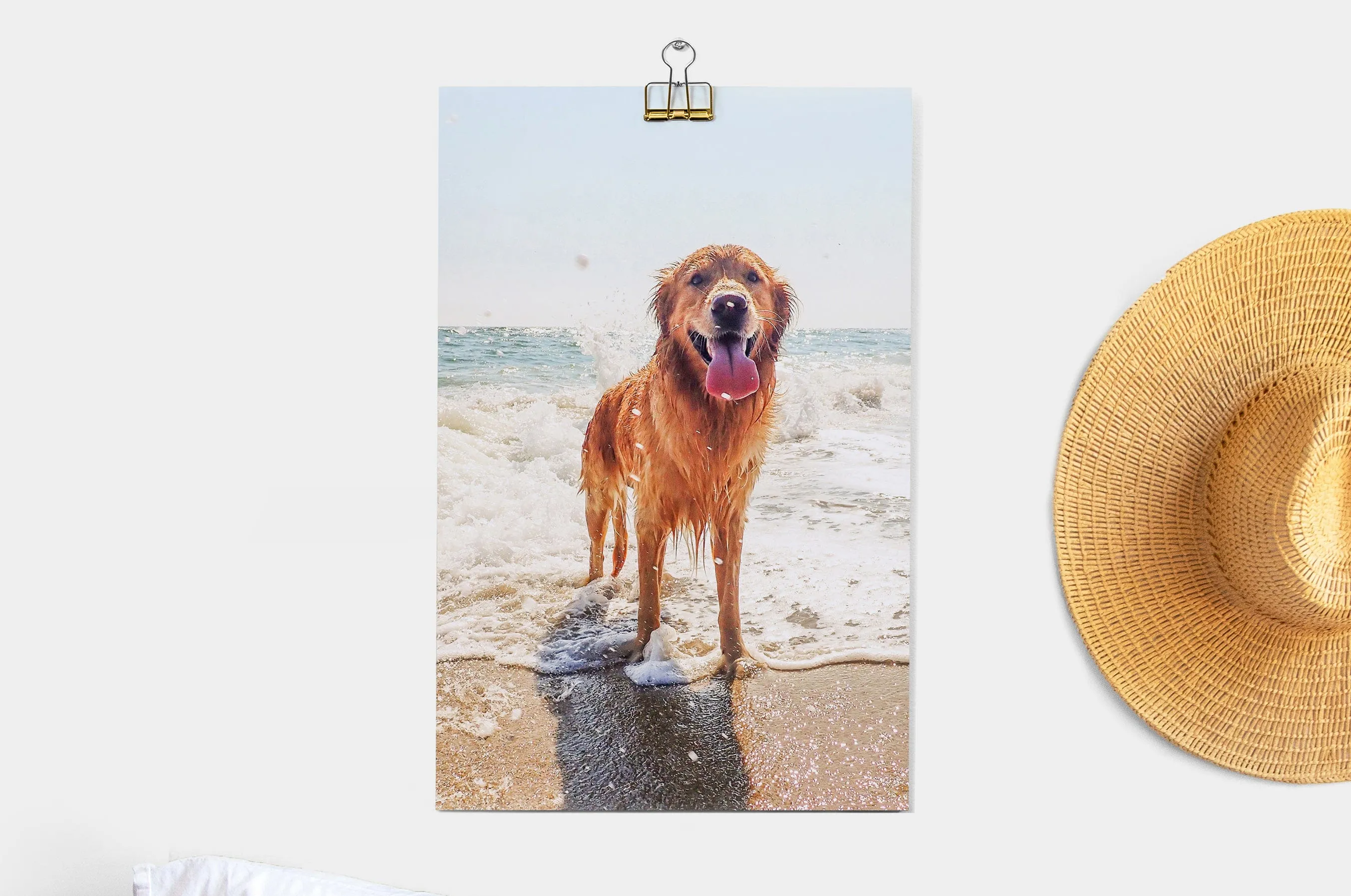 11x17" Prints