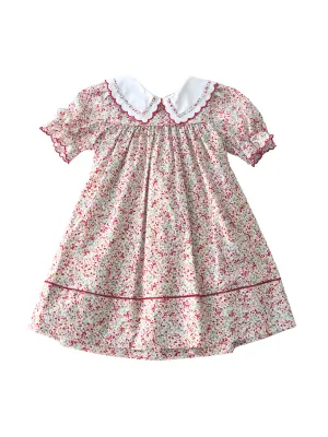 Cranberry Crush Printed Dress
