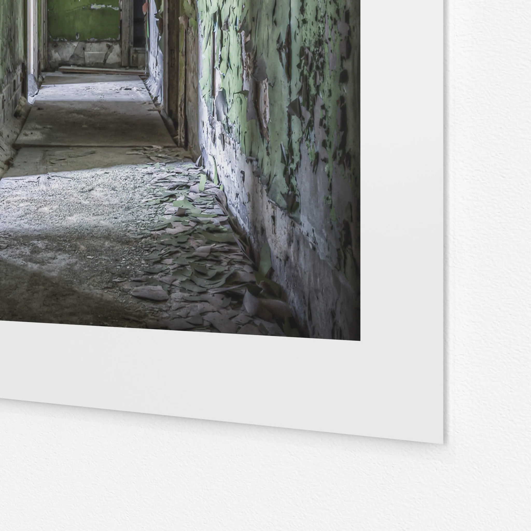 Downstairs Hallway