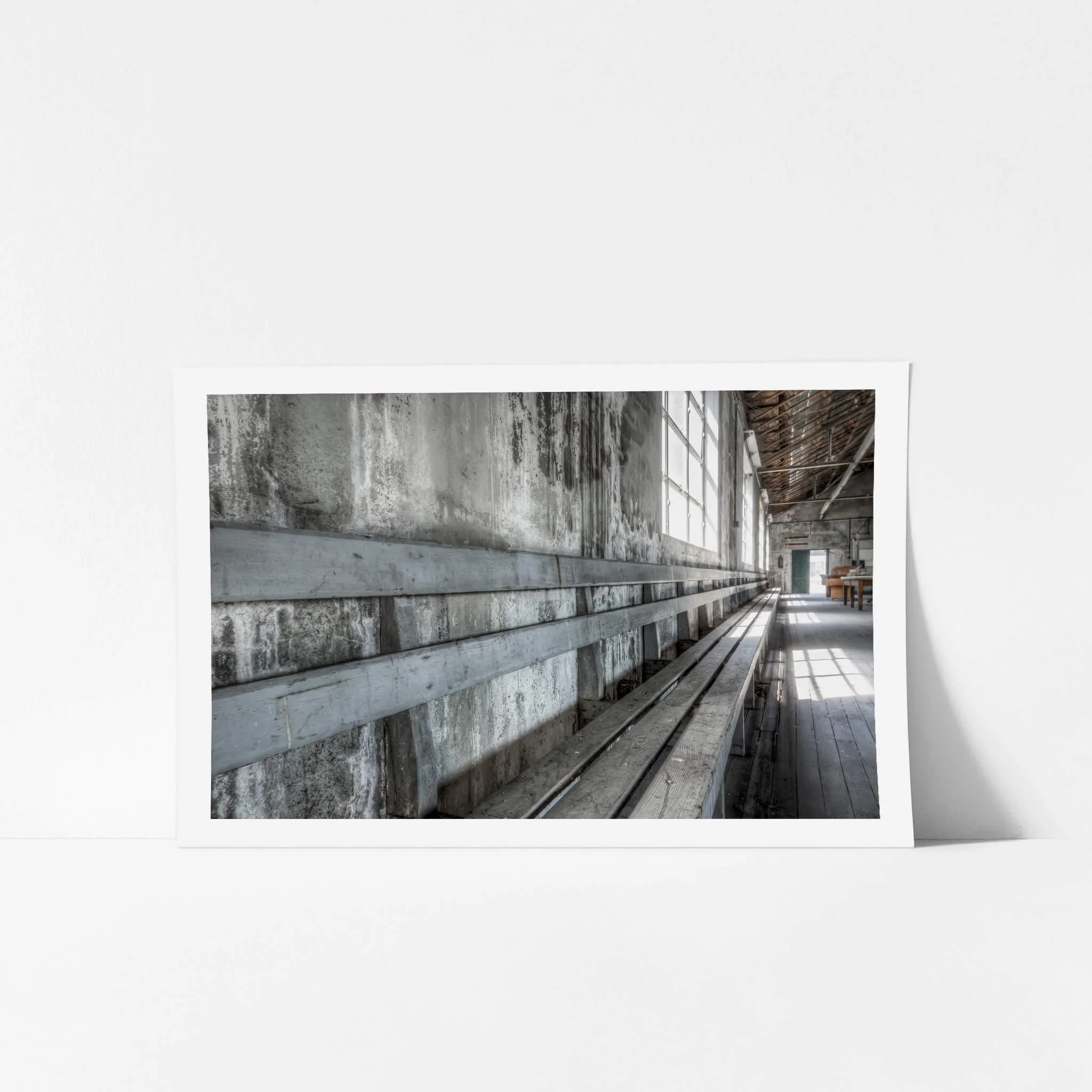 Entertainment Hall Seating | White Bay Power Station