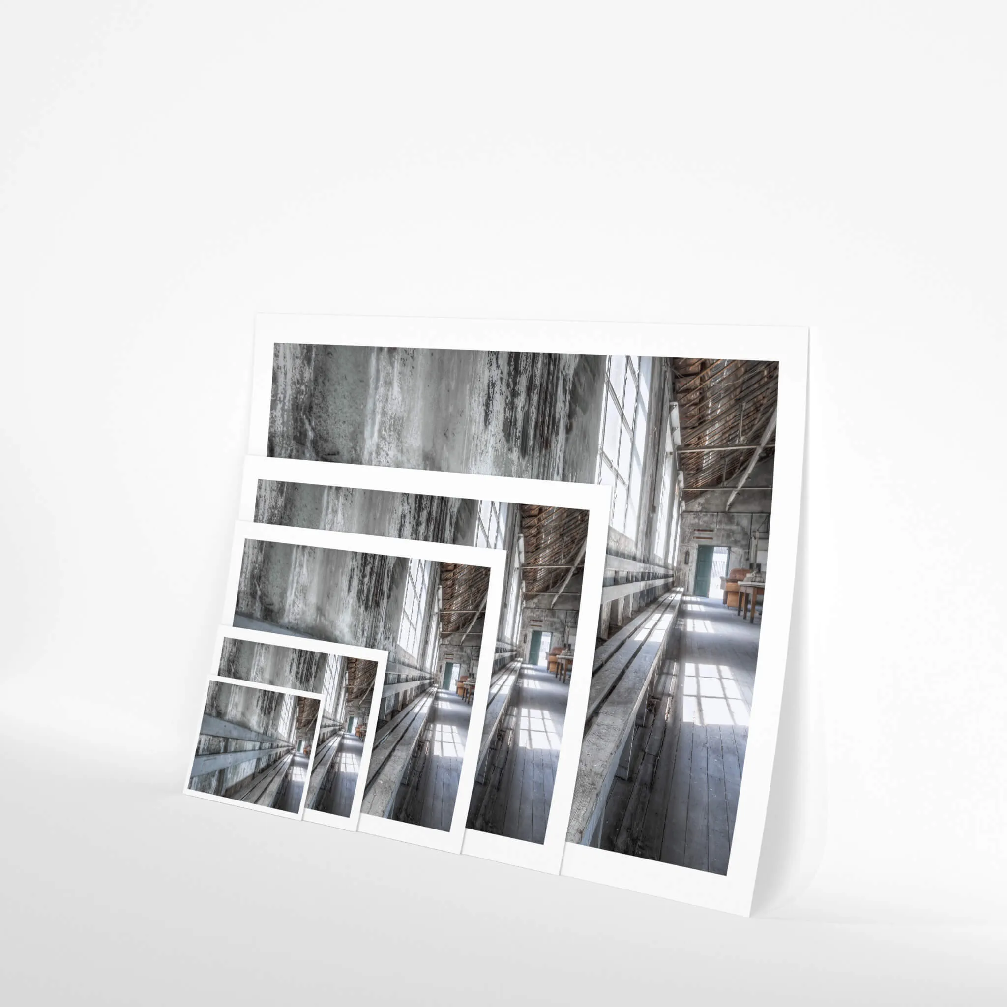 Entertainment Hall Seating | White Bay Power Station