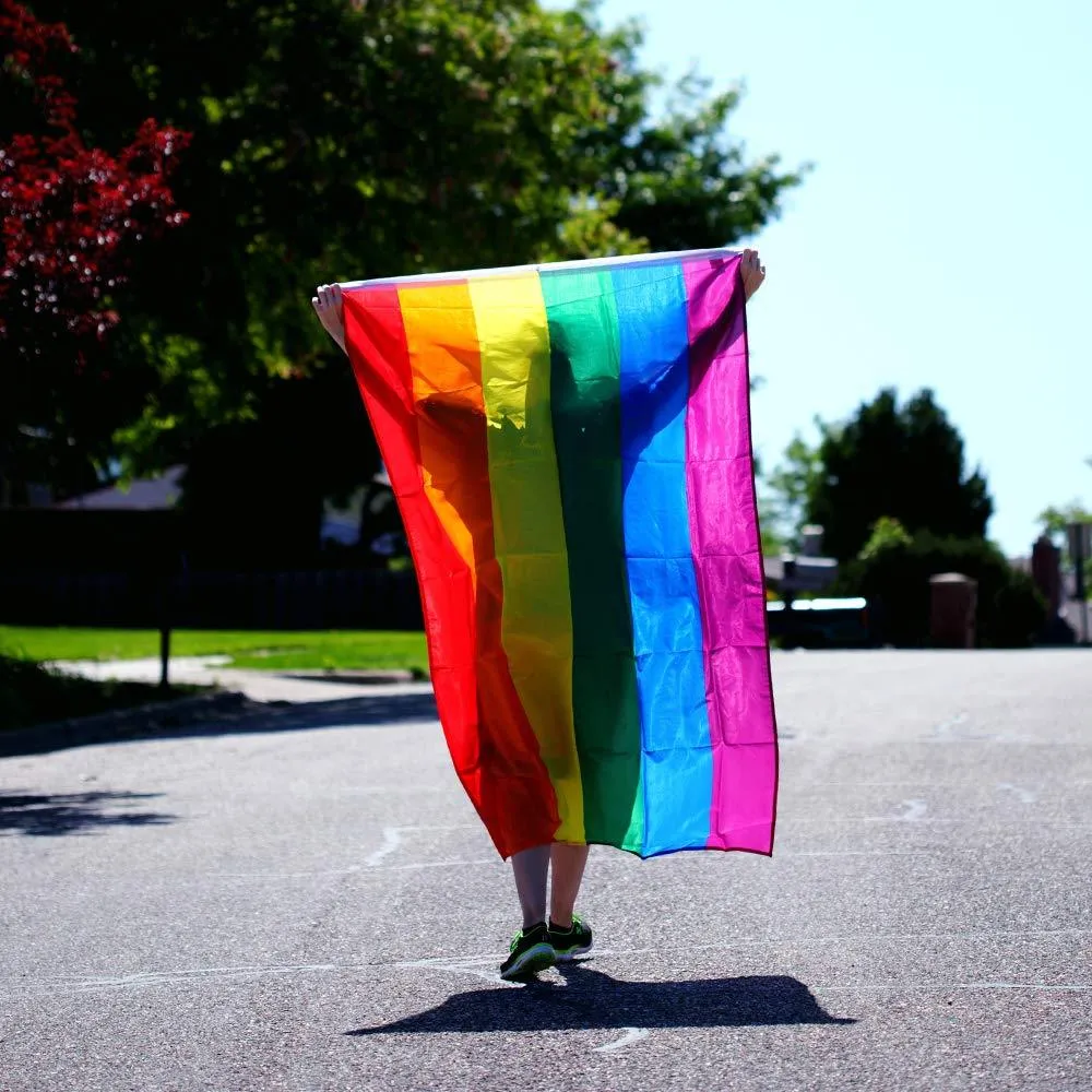 Jetlifee 3x5 FT Rainbow Flag Flags with Sturdy Brass Grommets