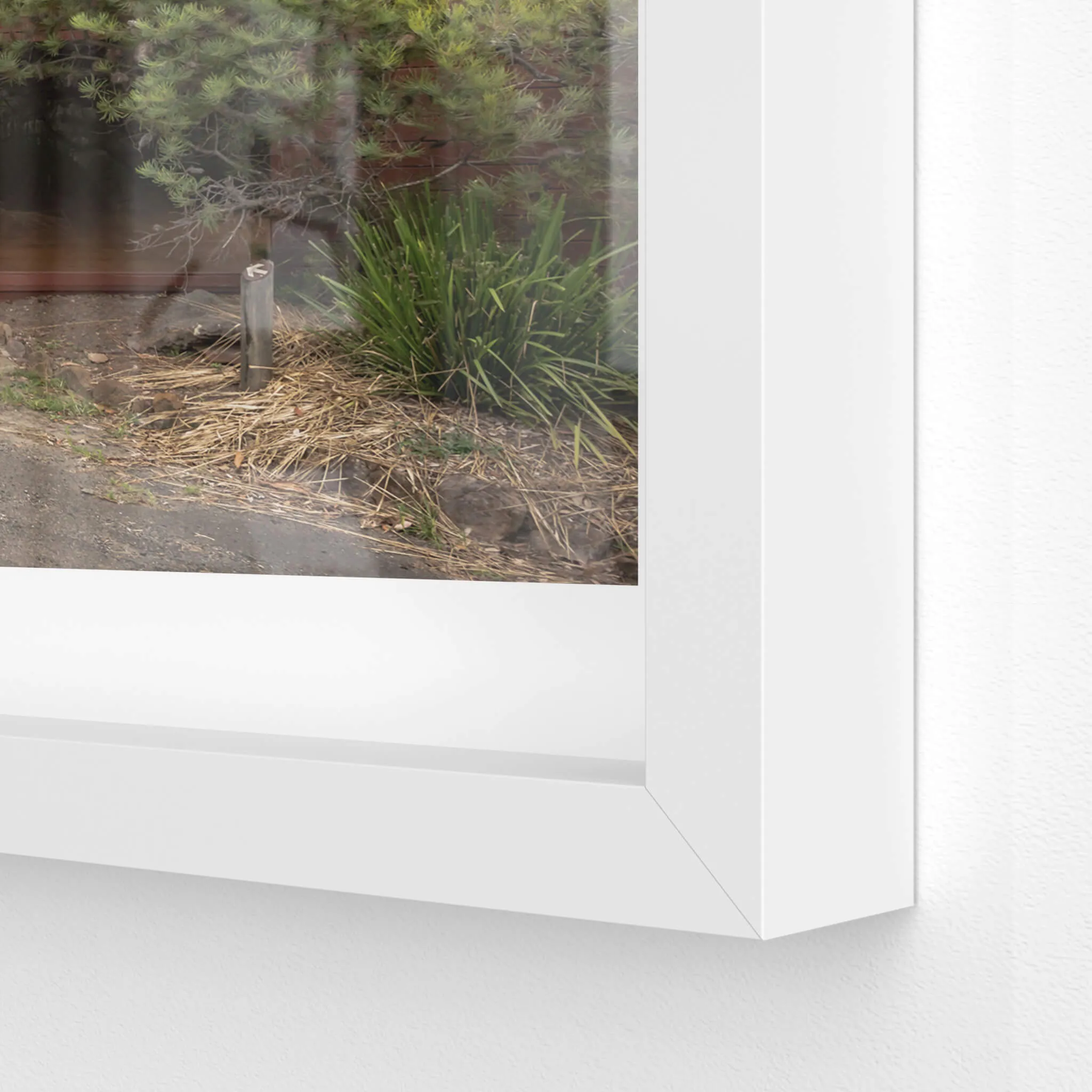 Ranger Headquarters | Waratah Park