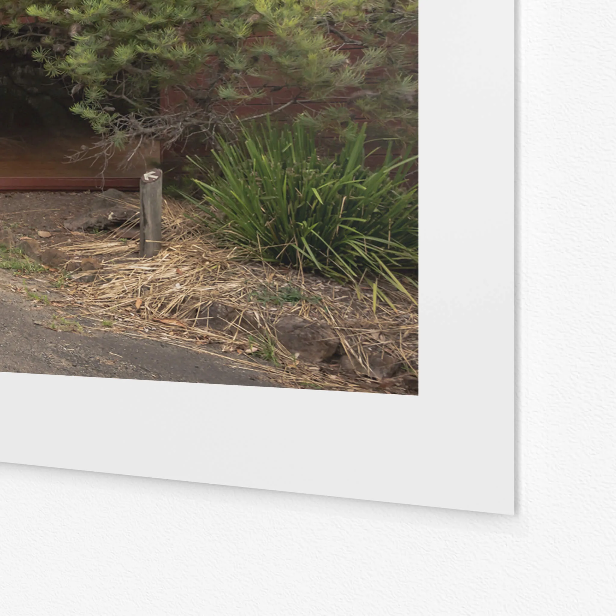 Ranger Headquarters | Waratah Park