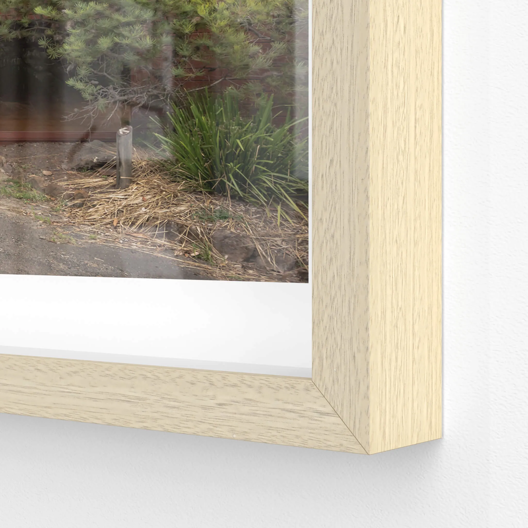 Ranger Headquarters | Waratah Park