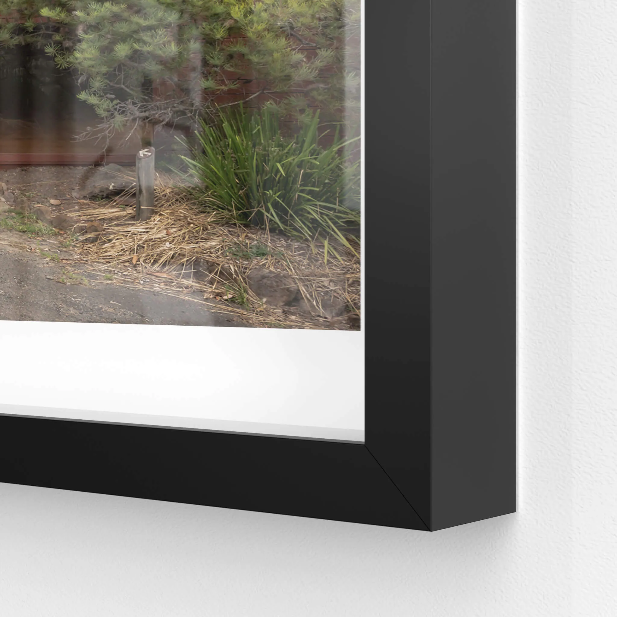 Ranger Headquarters | Waratah Park