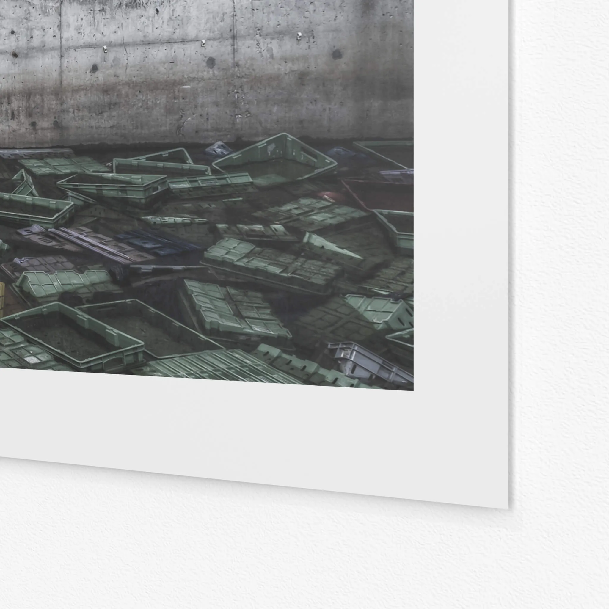 Rendering Plant | Blayney Abattoir