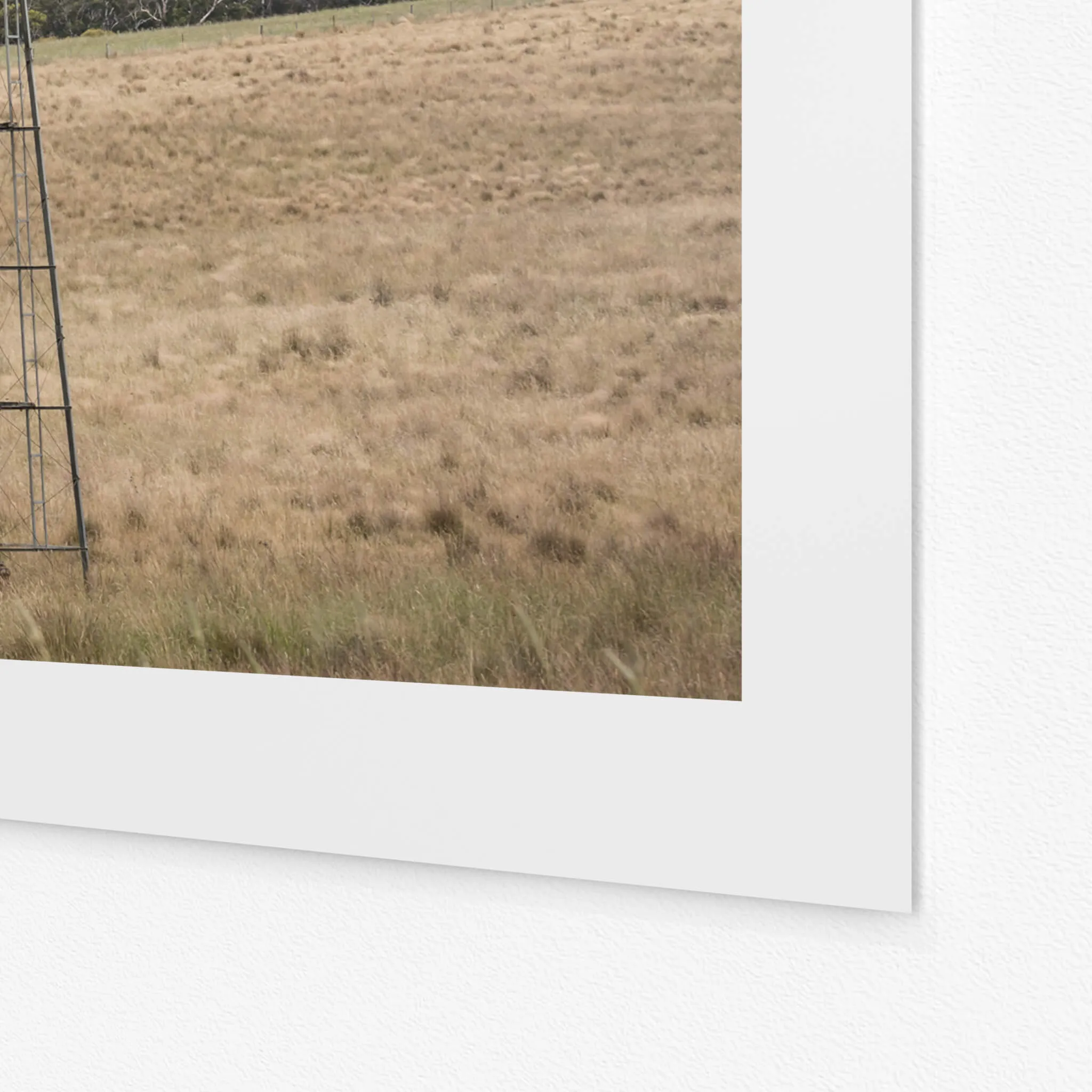 Snowy Mountains Windmill | Landscapes